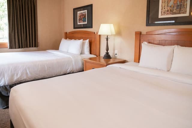 Premier Condo (2 Bedroom Loft- 4 Q)