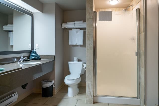 Executive King Suite