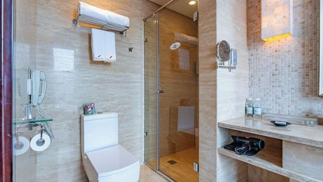 Premier Suite