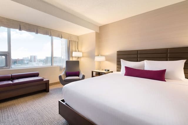 Comfort Room, 1 King Bed (Coast King)