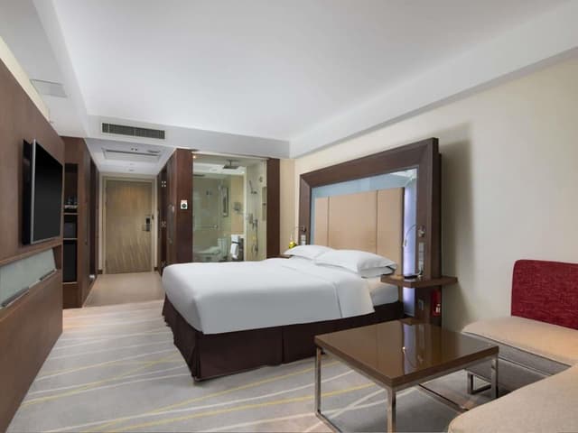 Executive Room, City View (1 double bed)