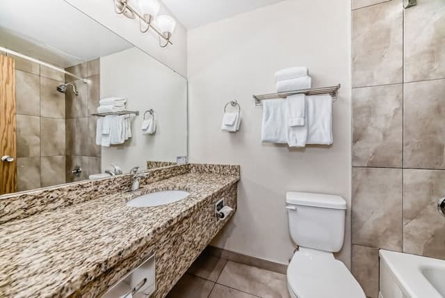 Room, 1 King Bed, Refrigerator & Microwave