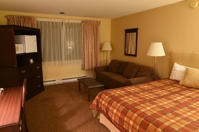 Room, 1 King Bed