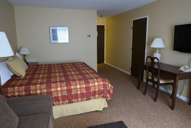 Room, 1 King Bed