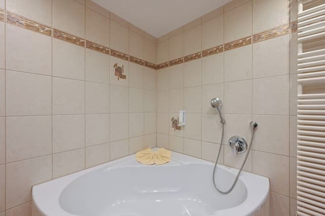 Grand Condo, 1 Queen Bed with Sofa bed (large)