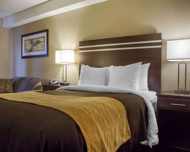 Comfort Care, Standard Room, 1 Queen Bed, Non Smoking