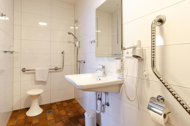 Junior Studio Suite, Accessible, Non Smoking