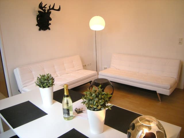 Basic Apartment, Kitchen