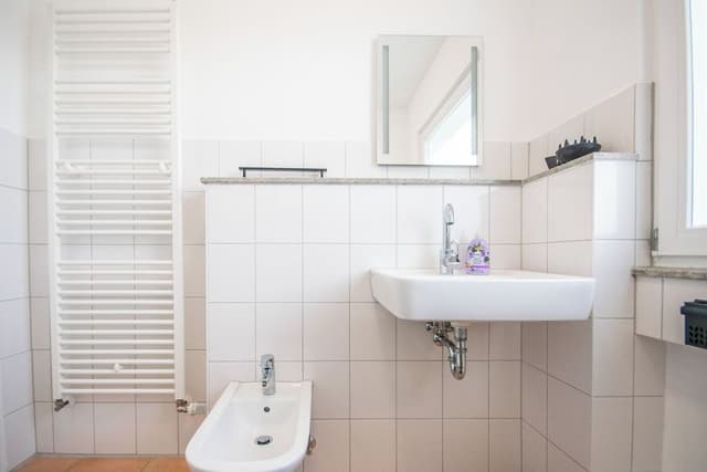 Business Apartment, 1 King Bed with Sofa bed, Kitchen