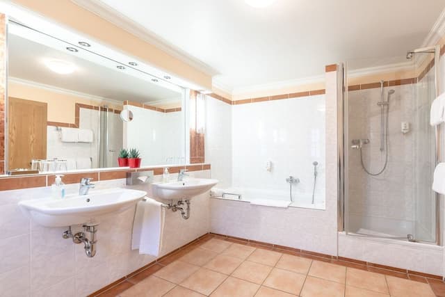 Classic Double Room
