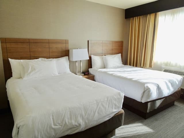 Quadruple Room, 2 Queen Beds