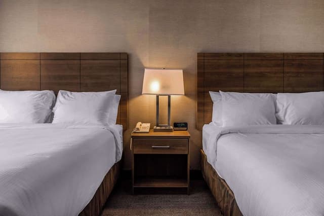 Quadruple Room, 2 Queen Beds