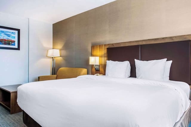 Room, 1 King Bed, Non Smoking