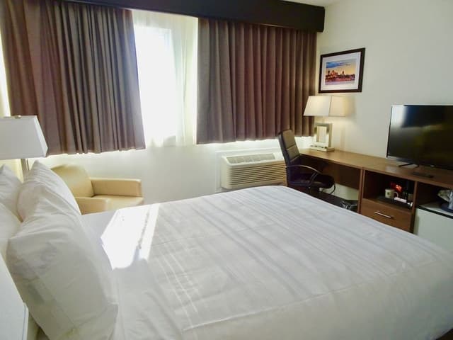 Standard Room, 1 Double Bed, Non Smoking