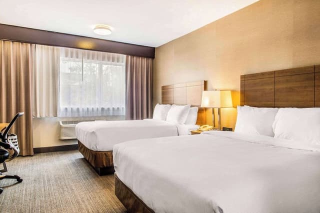 Quadruple Room, 2 Queen Beds