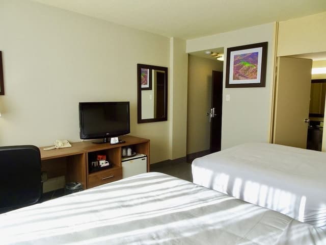 Quadruple Room, 2 Queen Beds