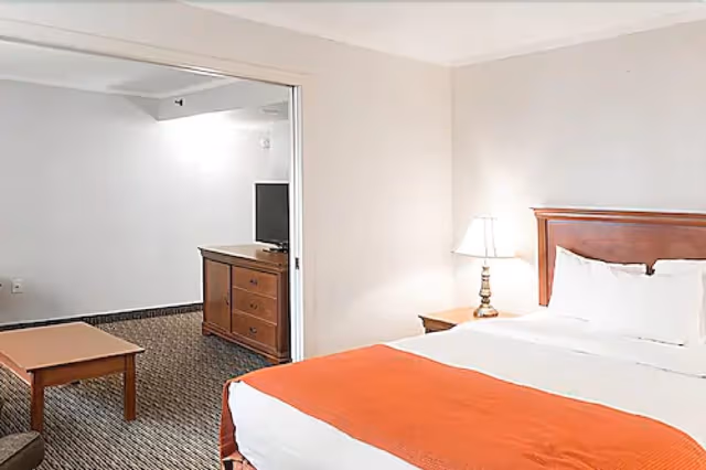 Standard Room, 1 Queen Bed with Sofa bed