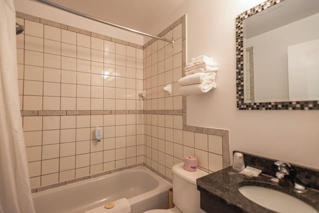 Suite, 1 Queen Bed with Sofa bed