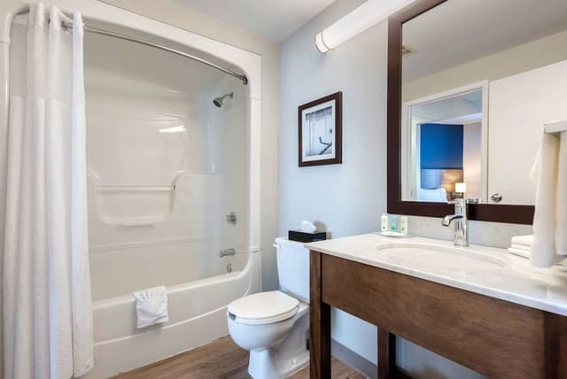 Suite, 1 King Bed with Sofa bed, Non Smoking