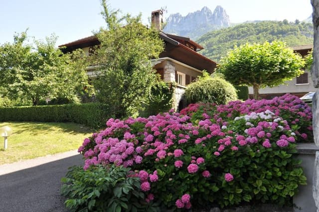 Double or Twin Room, Mountain Side
