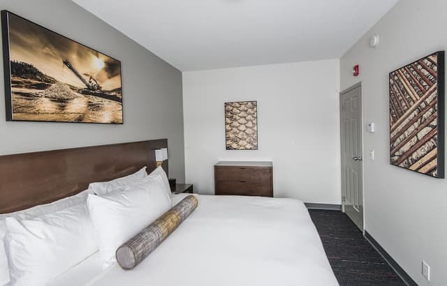 Suite, 1 Bedroom, Kitchen