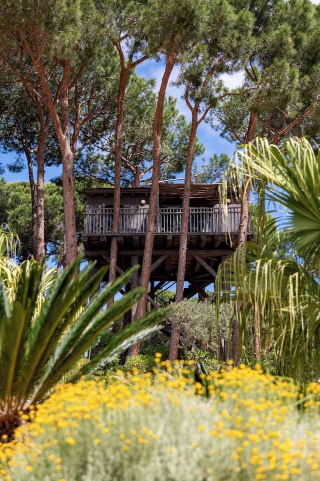 Deluxe Cabin, 1 Double Bed, Mountain View