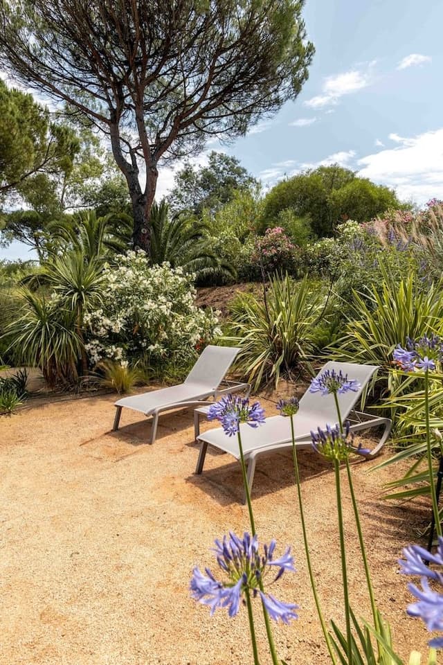 Classic Studio, Garden View