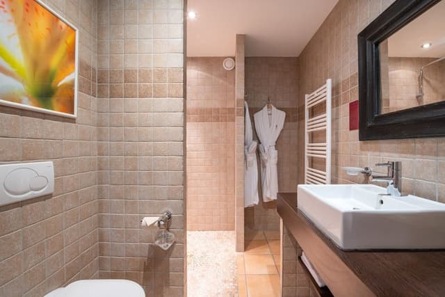 Superior Double or Twin Room