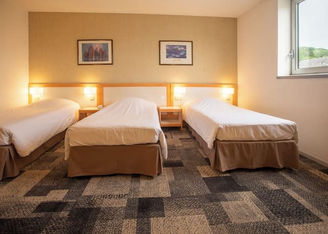 Family Triple Room (2 adultes and 1 enfant)