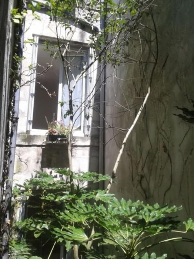 Family Room, Courtyard Area
