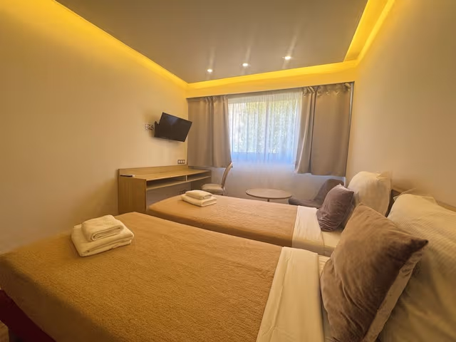 Classic Twin Room