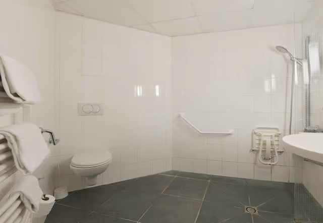 Standard Double Room, Mobility Accessible, Non Smoking