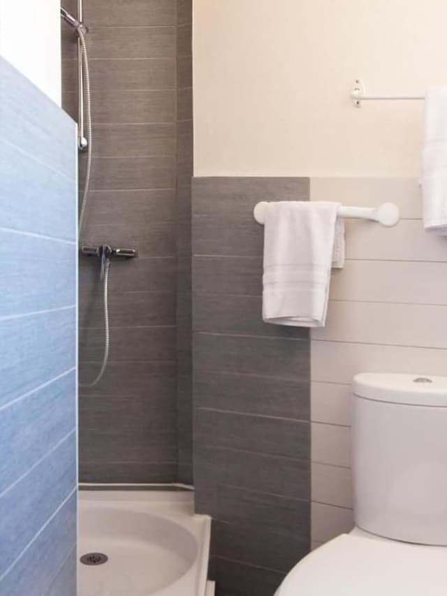 Standard Double Room (Petite douche)