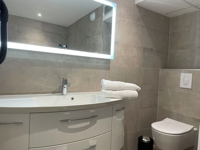 Deluxe Apartment, 3 Bedrooms