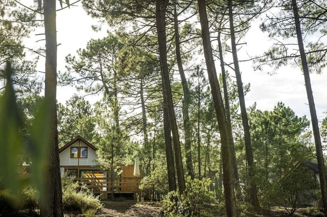 chalet 2 room, 4/6 personnes