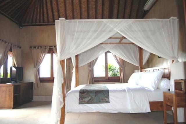 Standard Room, 1 King Bed, Terrace, Pool View