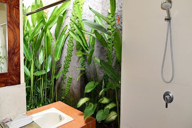 Premium Villa, 1 Bedroom, Private Pool, Poolside