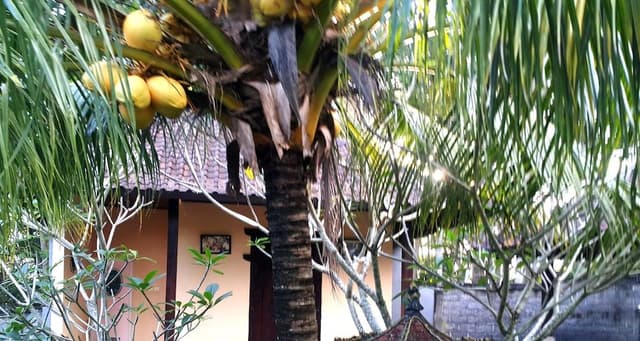 Superior Double Room, 1 Bedroom, Garden View