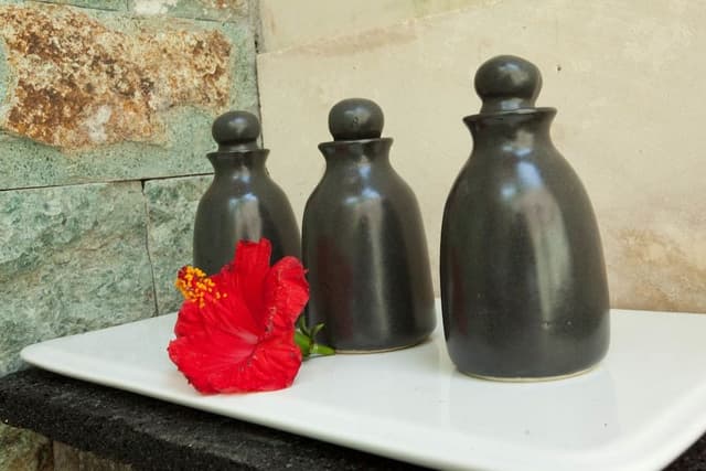 Deluxe Villa, 1 Bedroom, Private Pool