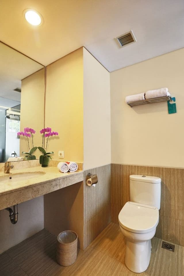 Deluxe Room, Pool Access