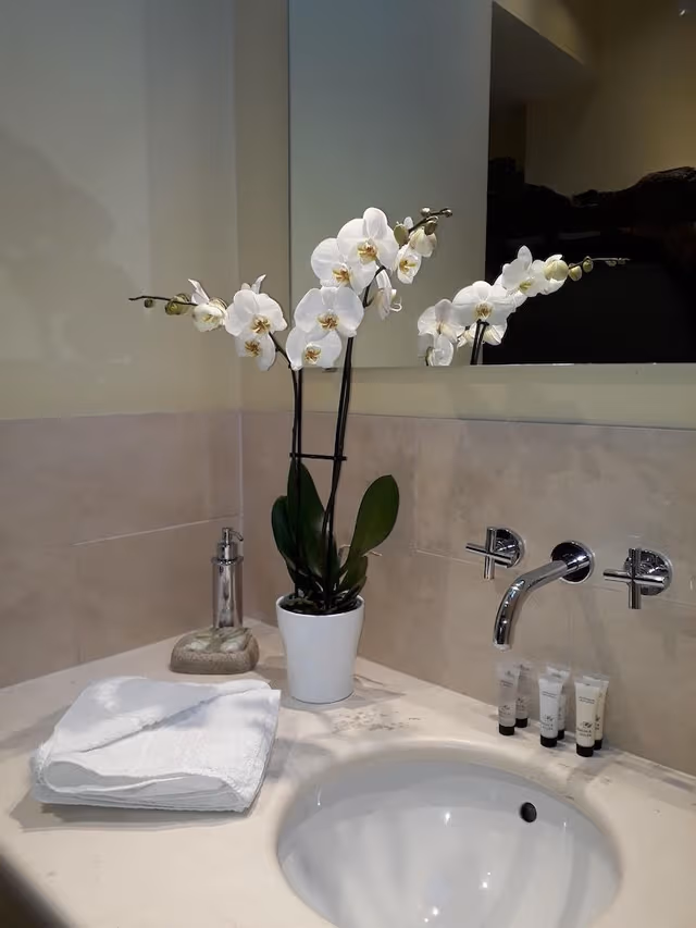 Exclusive Double Room, Ensuite