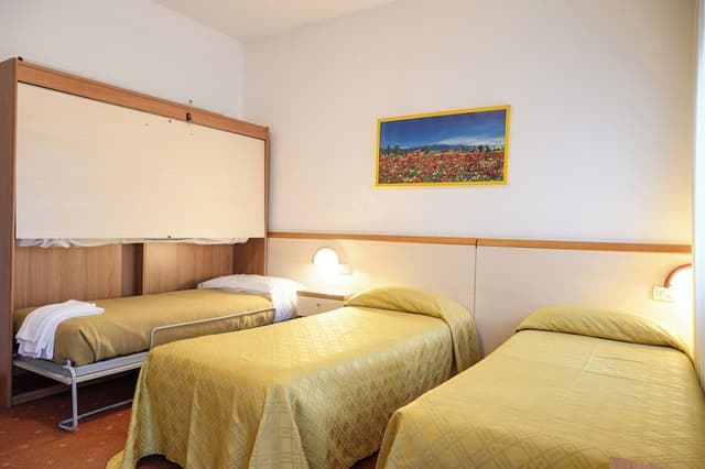 Economy Triple Room