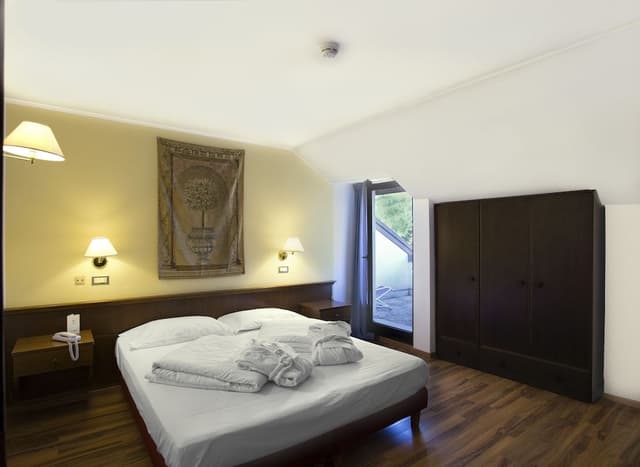 Classic Double Room Single Use