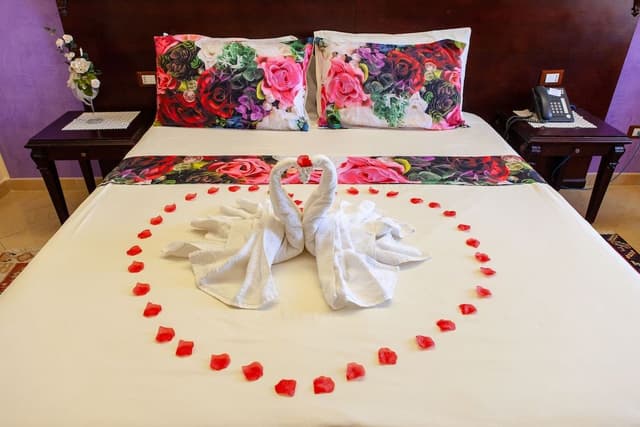 Double Room Single Use