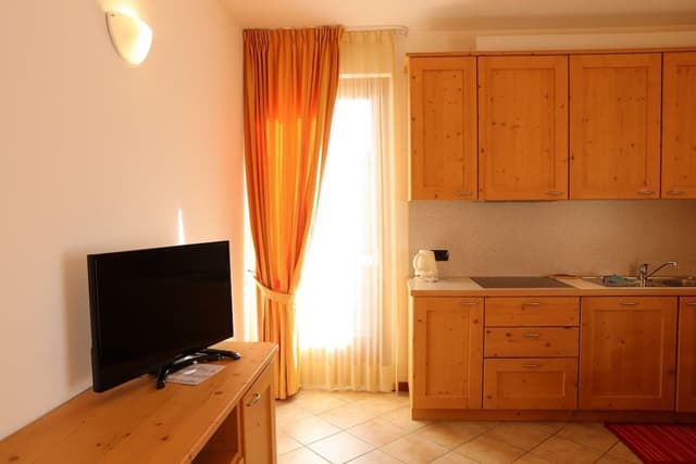 Deluxe Condo, 1 Bedroom, Balcony, Mountain View