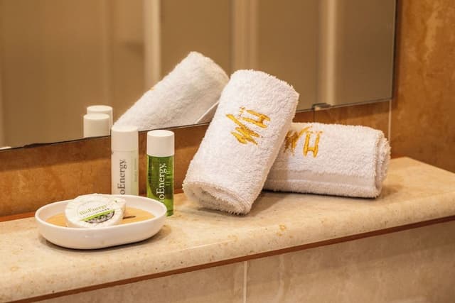 Superior Double Room Single Use