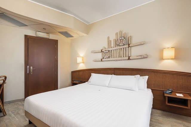 Superior Double Room Single Use
