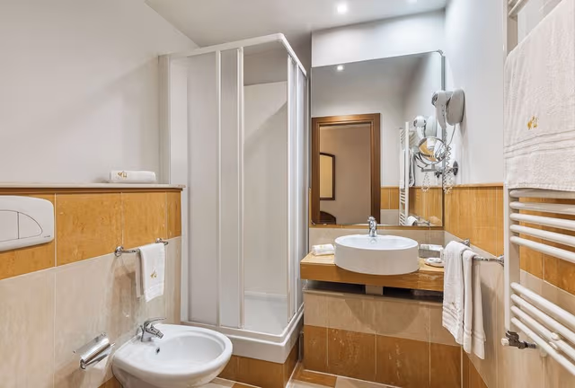 Economy Double Room Single Use, Ground Floor (American style)