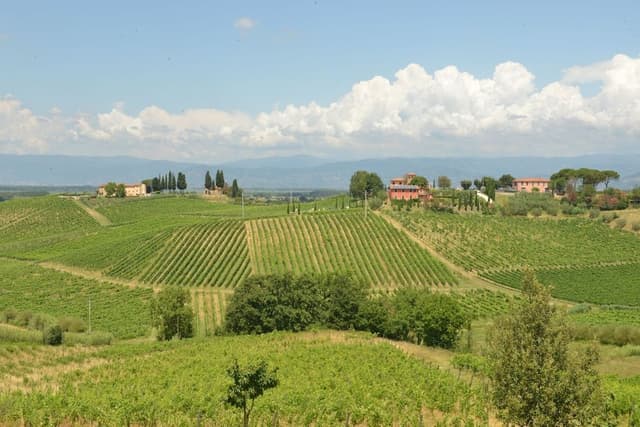 Apartment, 2 Bedrooms, Garden View, Garden Area (3+2 Posti letto)