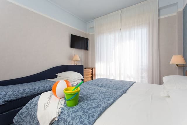 Basic Triple Room